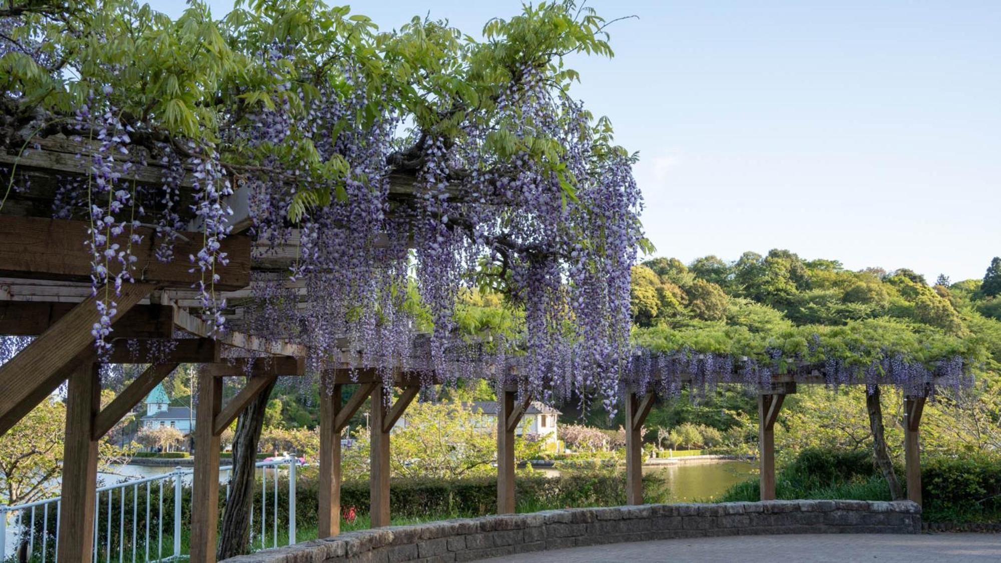 Toyoko Inn Shizuoka Fujieda eki Kita guchi Eksteriør billede